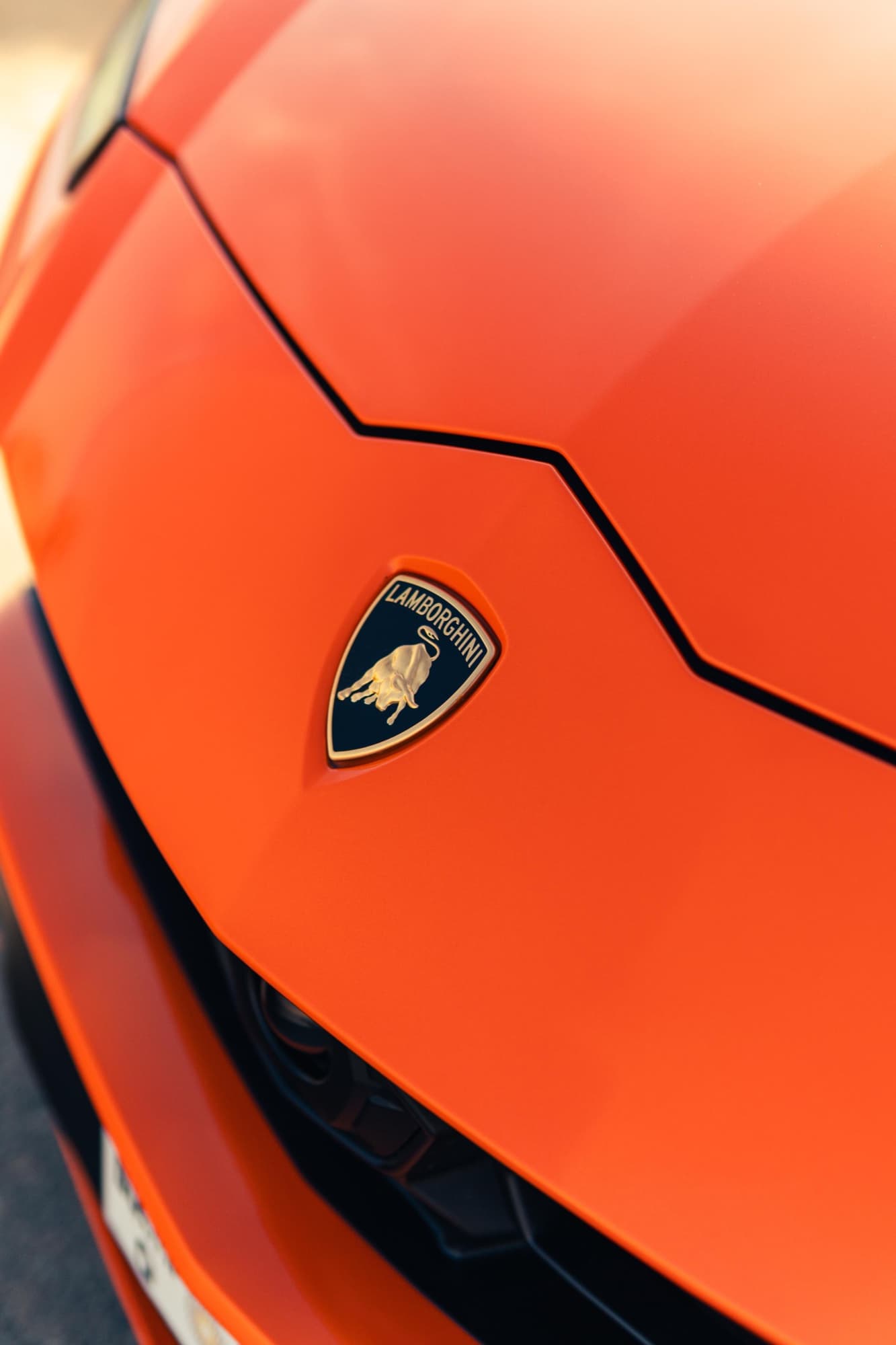 Lamborghini Urus Novitec - Image 11