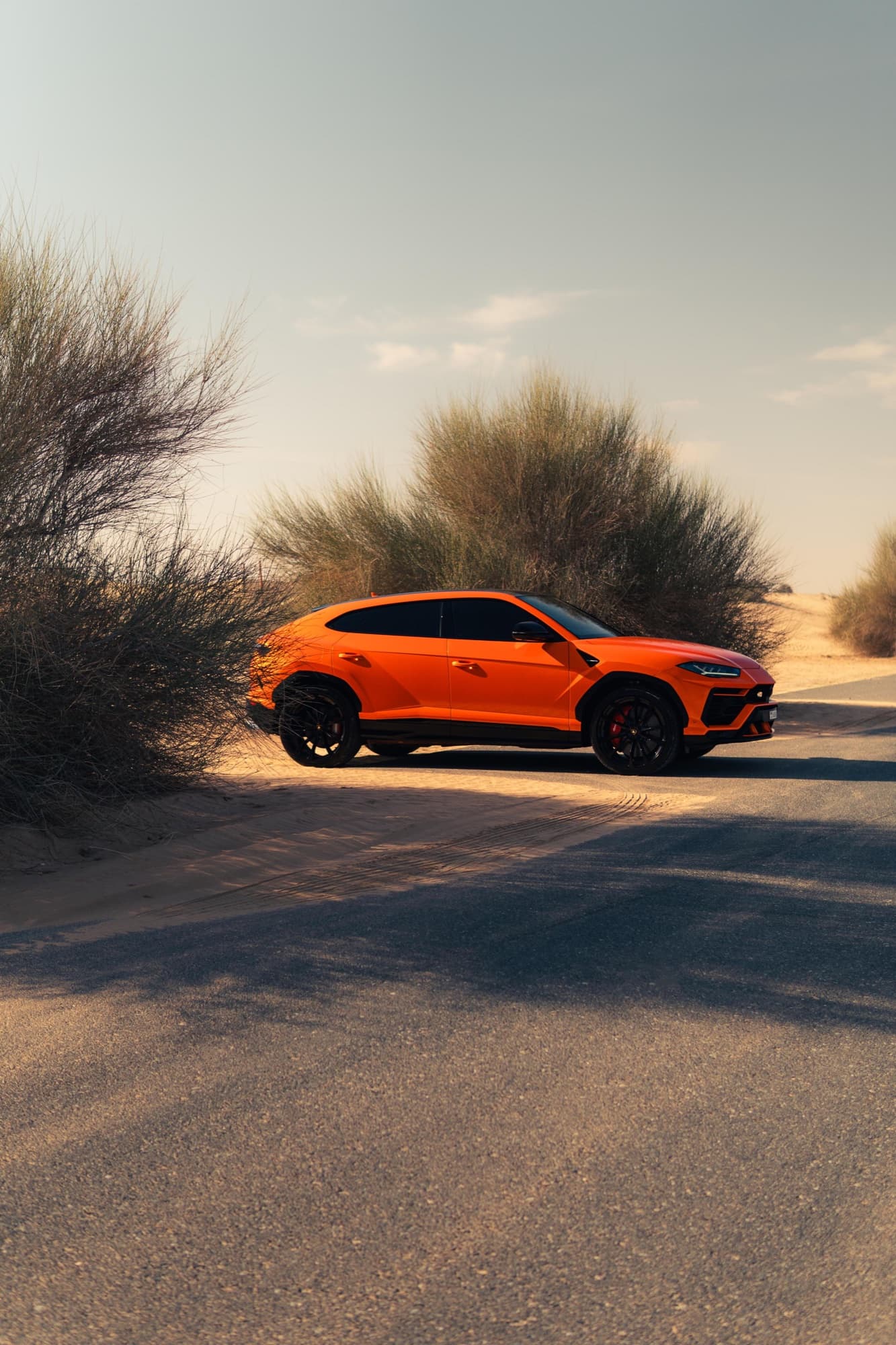 Lamborghini Urus Novitec - Image 6