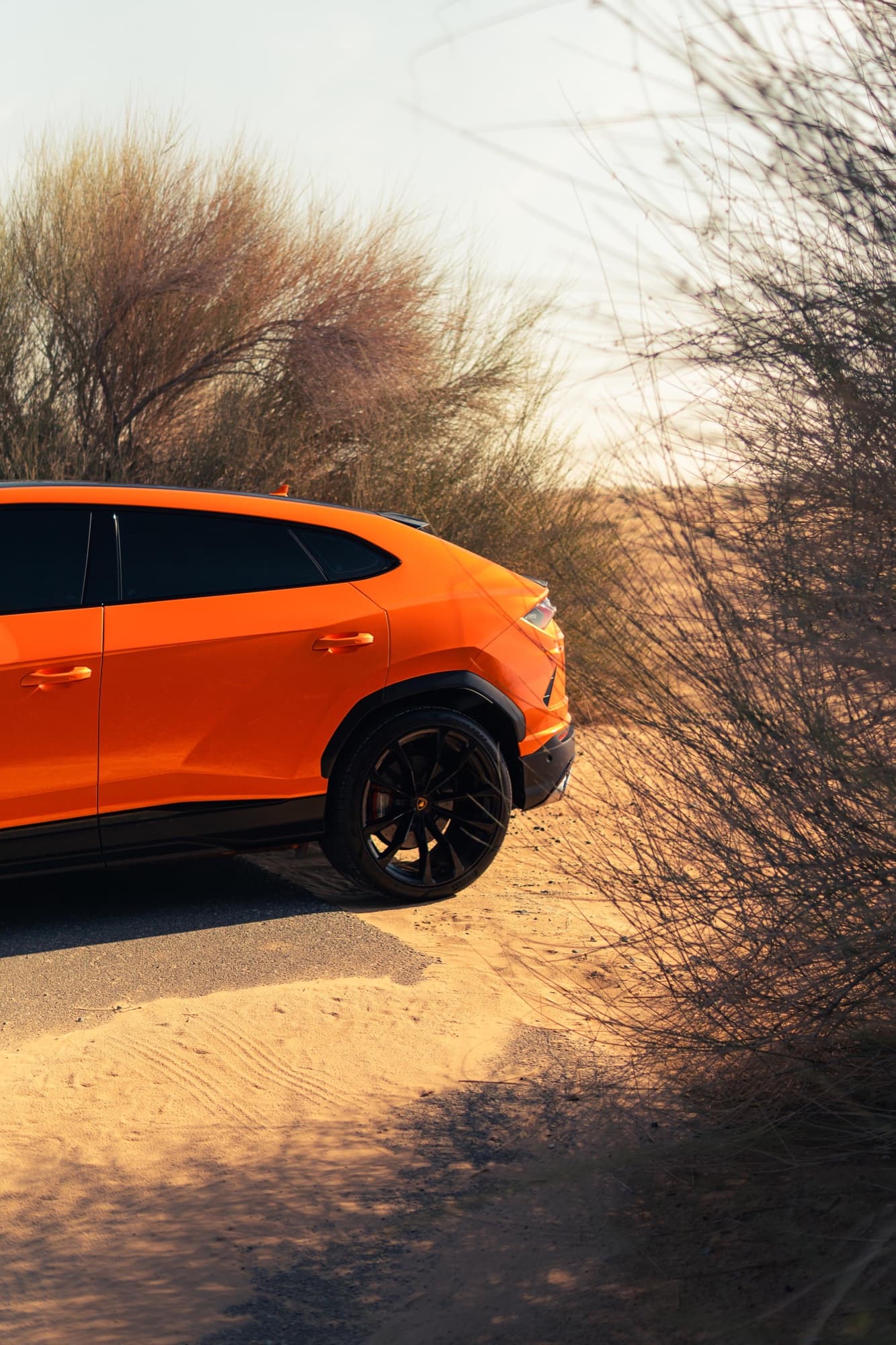 Lamborghini Urus Novitec - Image 7