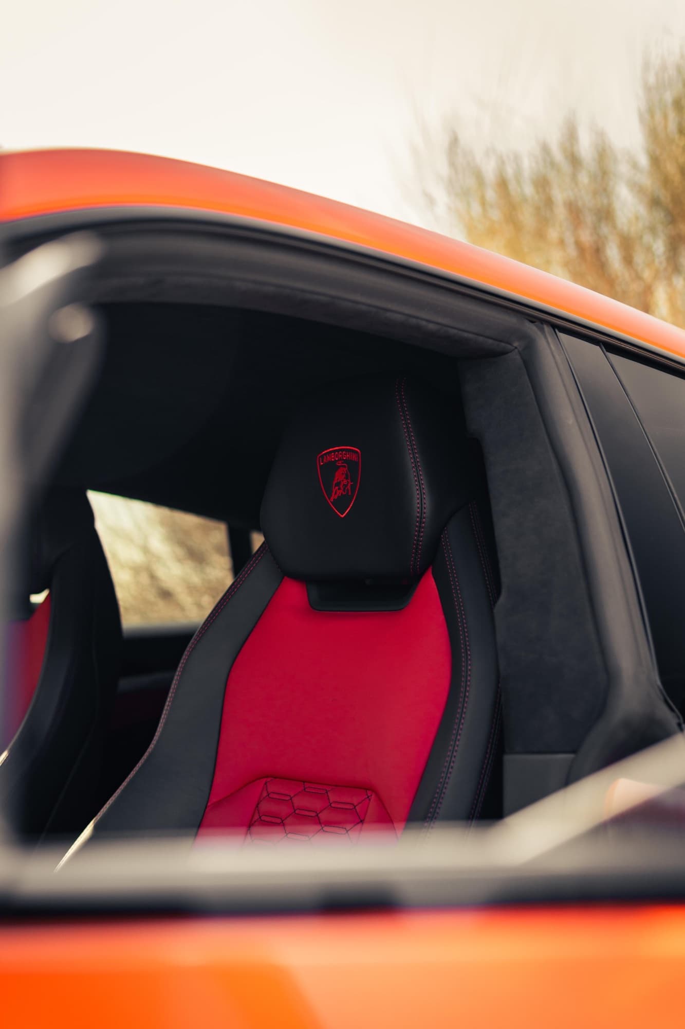 Lamborghini Urus Novitec - Image 9